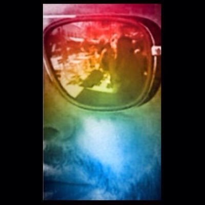 Jenson’s Photography Bristolさんのプロフィール画像