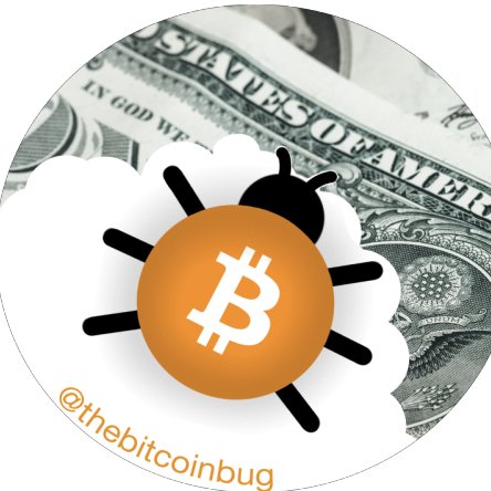 bitcoin bug