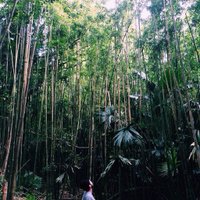 ghost of chris yogi (@makotoyogi) 's Twitter Profile