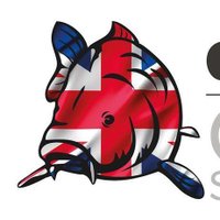 Asso Fishing (@assofishing) 's Twitter Profile