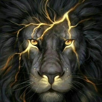 IanBiwott's profile picture. Life is a DIY.
Live it love it.