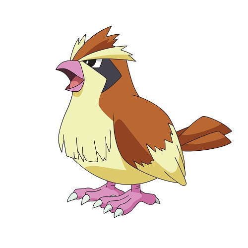 ProbotPidgey's profile picture. 