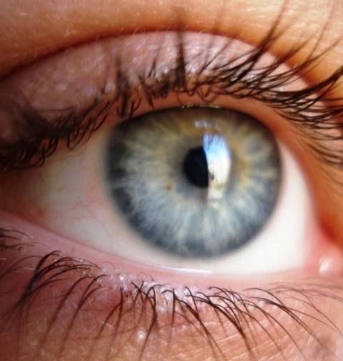 Gonza_Lane's profile picture. 