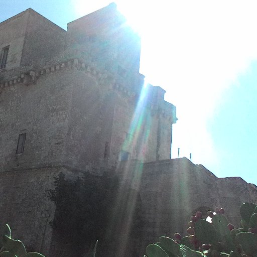 GiuseppaGiannic's profile picture. 