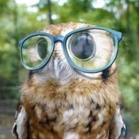 Snarky Stardust (@hootphd) 's Twitter Profile