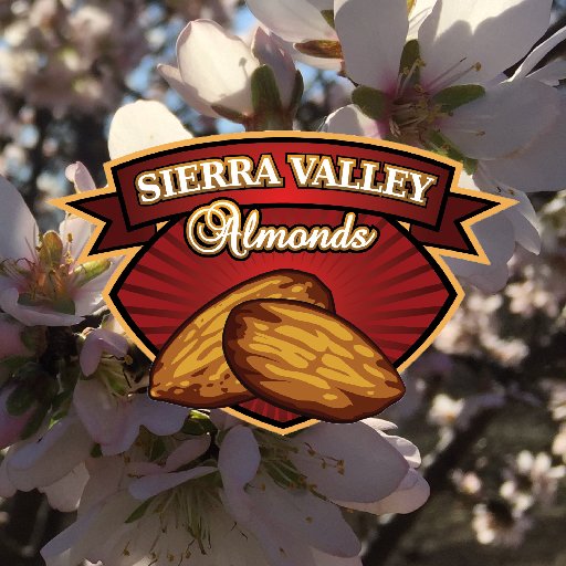 SierraAlmonds Profile Picture