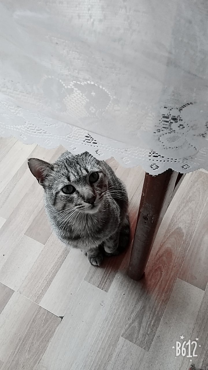 xochilt_huerta's profile picture. 