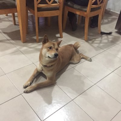 GabrielDeLucio's profile picture. 