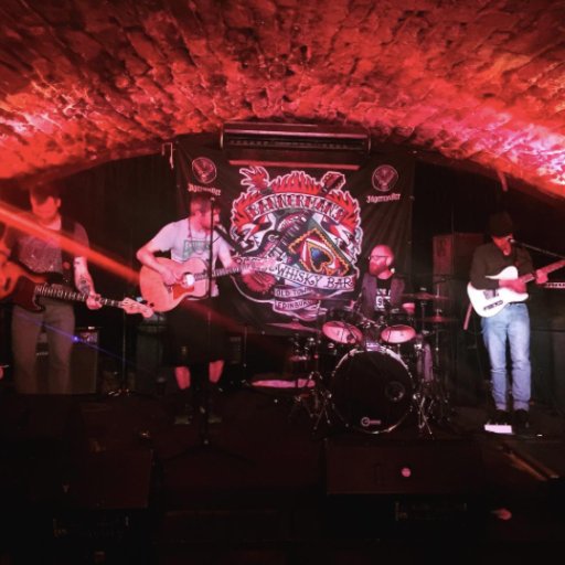 The Flocking Murmuration is a new band with an old soul. 

We play Flock Music: gritty, melodic folk rock songs and grooves for all.

Music with wings.
