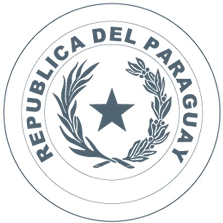 Official twitter account of the Permanent Mission of Paraguay to the UN, New York/Cuenta Oficial de la Misión Permanente del Paraguay ante la ONU, Nueva York