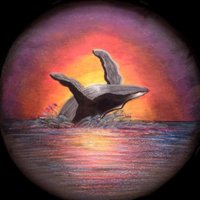 The Duskwhales (@theduskwhales) 's Twitter Profile