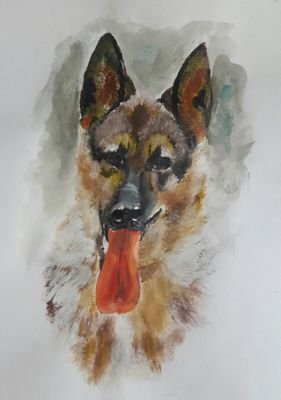 polvosdearroZ's profile picture. 