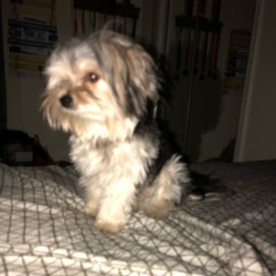 im_me_ur_not_07's profile picture. idk how 2️⃣ twitter. there’s only one on top - and that’s the bEST, no questions asked. 🤗 pete dunne, billie kay, bianca belair and you 🐍 are my faves 😩