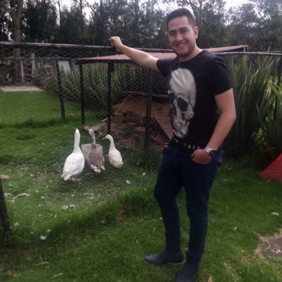 Hincha fiel al America De Cali!! Pasión de un pueblo!! Abogado Litigante!!!