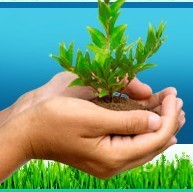 FreeGiveAways4U's profile picture. Plant a Tree and get things for free!!!