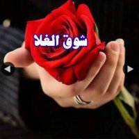 (# سبحان الله  ) (@nonoo123a) Twitter profile photo