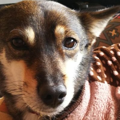 過去から忘れ物を拾いにやって来ました。スマートなバイオリニストが、大好き❤男前のチェロ弾きも、カントリーや、シャンソンの歌姫も、❤😍イラストのメンバーが、全員揃ってライブできることを密かに願っている。歌の街から来たミドルエイジ❤😉🎵🎸👍
