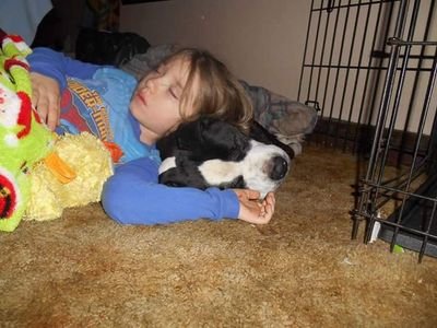 Josh43637987's profile picture. 