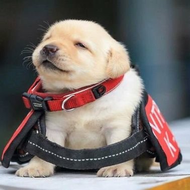 killmeh_NOW's profile picture. 