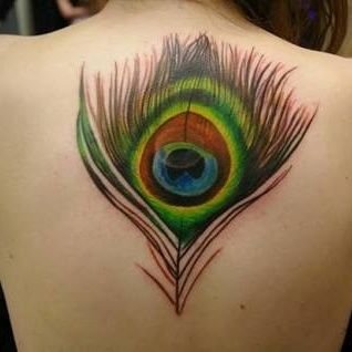 Yaduvan26556419's profile picture. Follow me.......
100%follow back