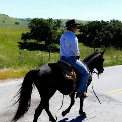 M_Marquez97's profile picture. 