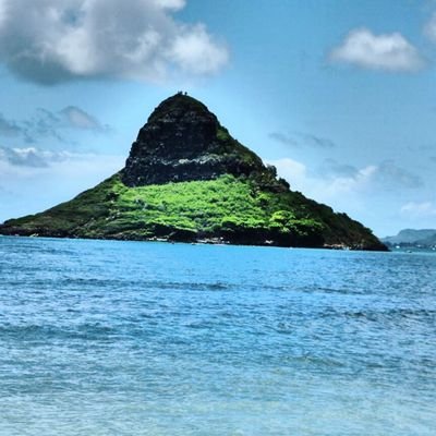 JerricaWasHere's profile picture. 