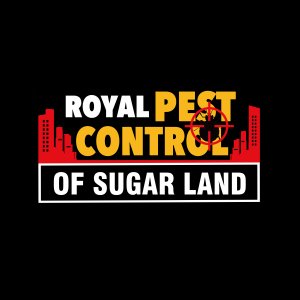 If you're in Sugarland TX and looking for a quick and painless solution to your pest control problem, we are the extermination team to call.