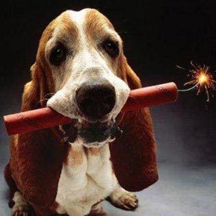 dynameetru's profile picture. Молодежный развлекательный портал представляет: каждый день новые и интересные посты, прикольные картинки и фотографии, интересные истории, факты и обзоры.