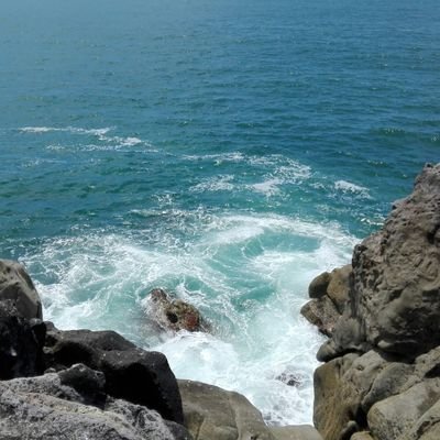 Bluebubbles432's profile picture. 