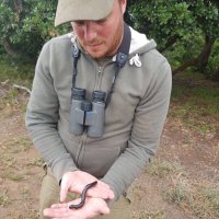 Dan Lombard (@viperadan) 's Twitter Profile