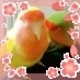 沢城利穂さんのプロフィール画像