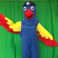 Lidcombe Public School (@lidcombeps) 's Twitter Profile Photo