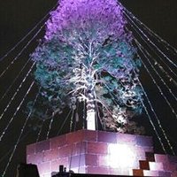 新あおぞら号🌱 (@skyblue50go) 's Twitter Profile