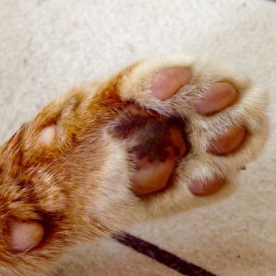 アス