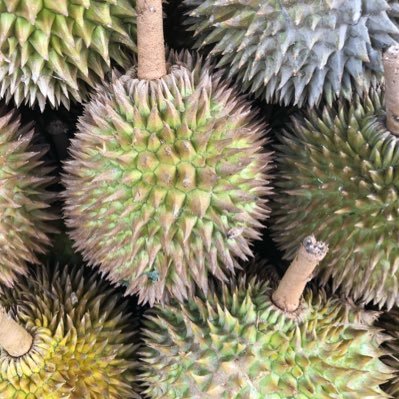 worldview2's profile picture. Curious educator, traveler, snacker