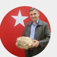 Seferkahraman (@seferkahraman19) 's Twitter Profile