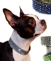 DoggyStyleUSA's profile picture. 