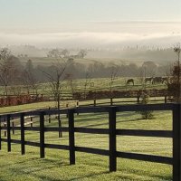 Slaney River Stud (@slaneyriverstud) 's Twitter Profile Photo