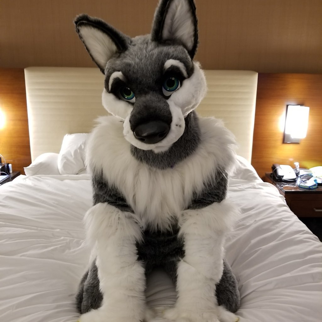 Remixwuff Profile Picture