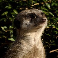 Lieschen Müller. (@liesbethmueller) 's Twitter Profile Photo