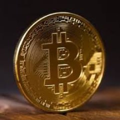 YooBitcoin's profile picture. 