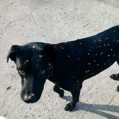 ii82019470's profile picture. 