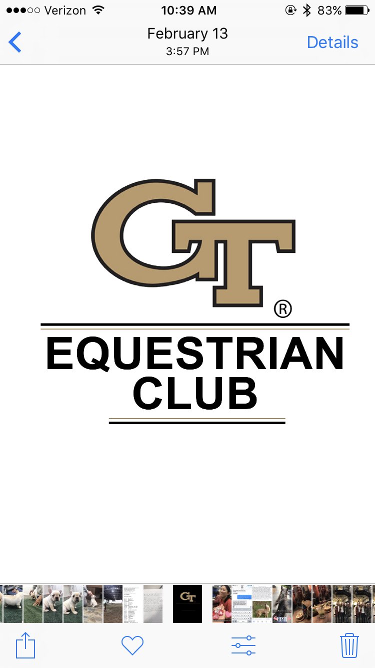 Stay updated on Georgia Tech's Equestrian Club and Team's show results and events! An affiliate of @GTSportClubs