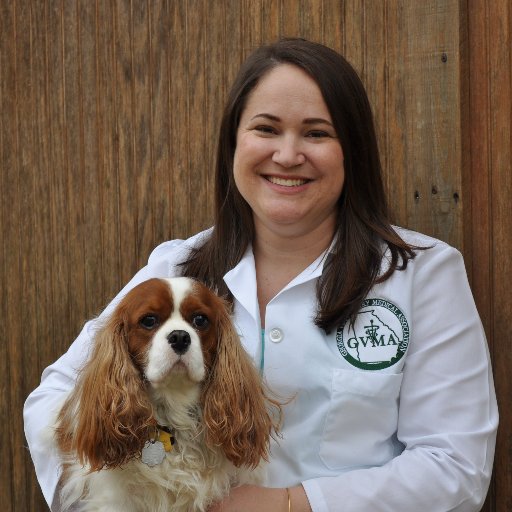 jaymeholmes's profile picture. Veterinary student (Class of 2020), passionate about animal health and happiness, leadership, wellness, business management and Cavalier King Charles Spaniels.