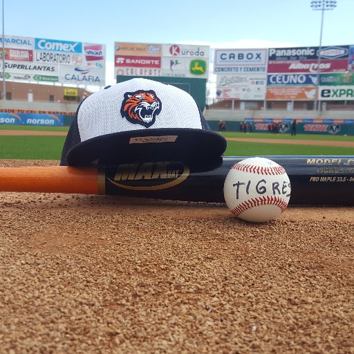 Cronista oficial de los Tigres de Quintana Roo, ya rumbo en mi temporada 26 consecutiva narrando LMB, y la 15 con los de bengala