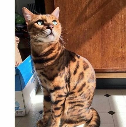 aruba178651961's profile picture. .