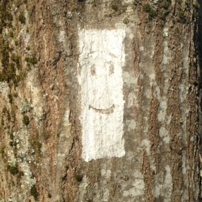 bobcharles75's profile picture. 