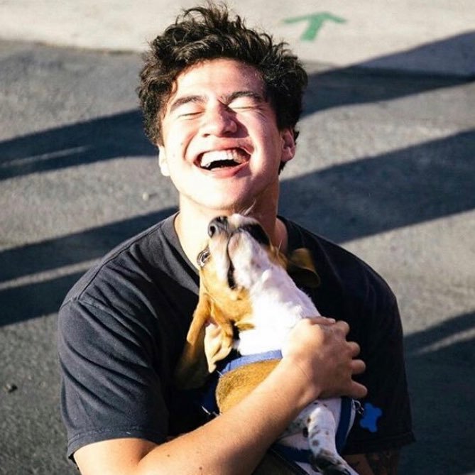 blessing ur timeline everyday w/ calum hood (;