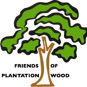 The Friends of Plantation Wood are a friendly volunteer group who run community events & help maintain this small beautiful Woodland Trust wood in King’s Lynn.