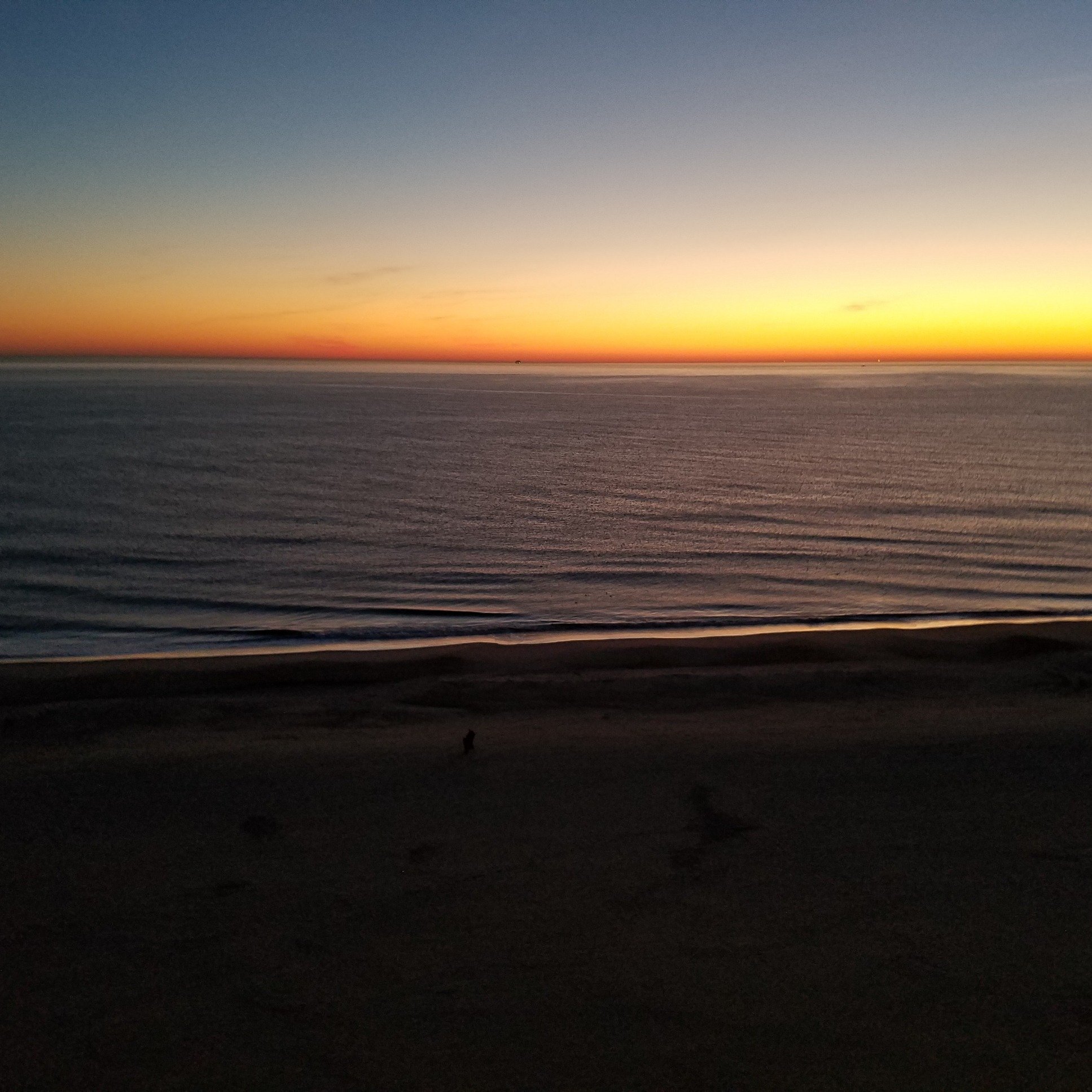 csarahan's profile picture. Love the beach.